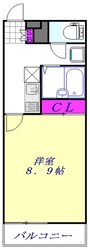 レオネクストリモーネ５　４４１６０の物件間取画像